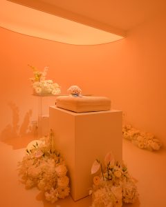 Interior view of Everpet pet memorial and water cremation service centre Singapore