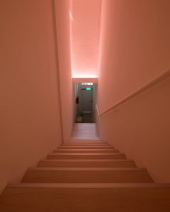 Lighting and interior ambience at Everpet pet funeral facility Singapore