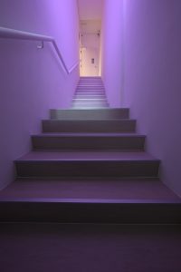 Lighting and interior ambience at Everpet pet funeral facility Singapore