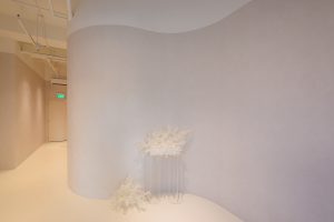 Everpet pet funeral and water cremation service facility interior in Singapore